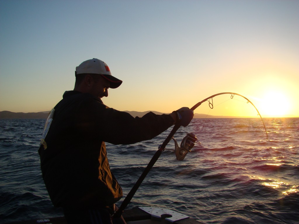 pescando con caña 2