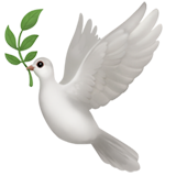 paloma chula - ¿Cuáles son los símbolos del Espíritu Santo?