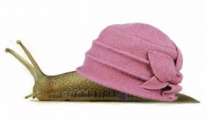¿Ya conoces la slow fashion? image 2017 02 26 300x176 - ¿Ya conoces la slow fashion?
