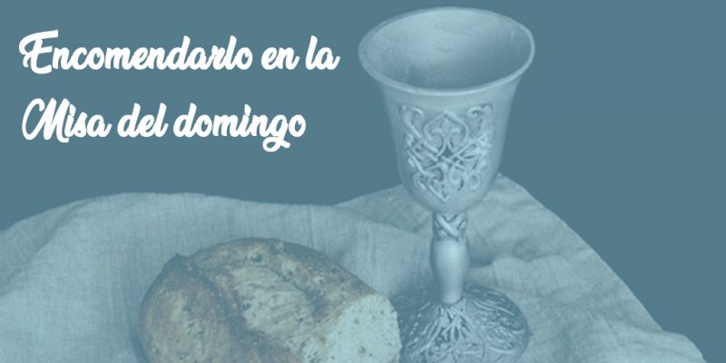 010Misa 800x400 - 10 maneras de ayudar al Papa a luchar contra los abusos
