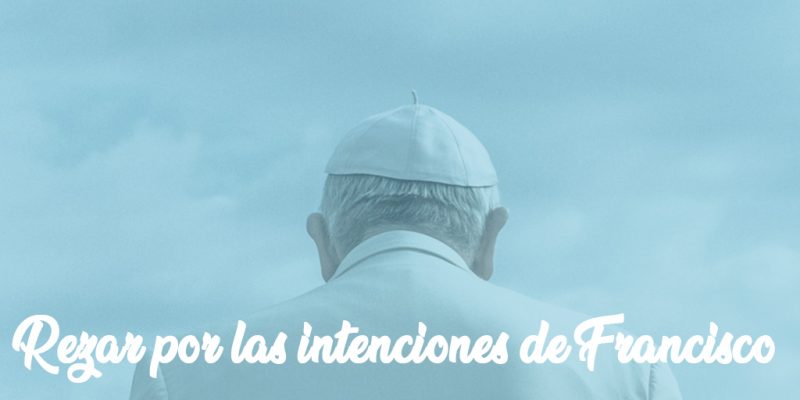 07Francisco 800x400 - 10 maneras de ayudar al Papa a luchar contra los abusos
