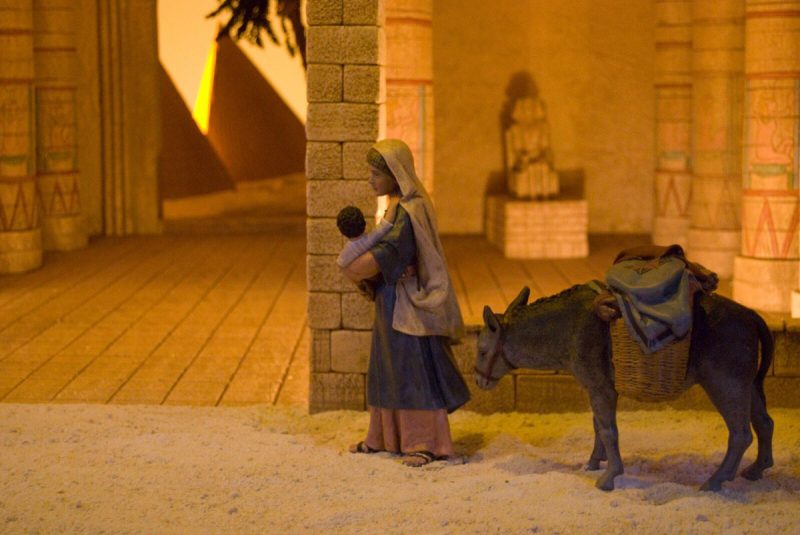 Navidad 4 800x535 - La verdadera historia de la Navidad