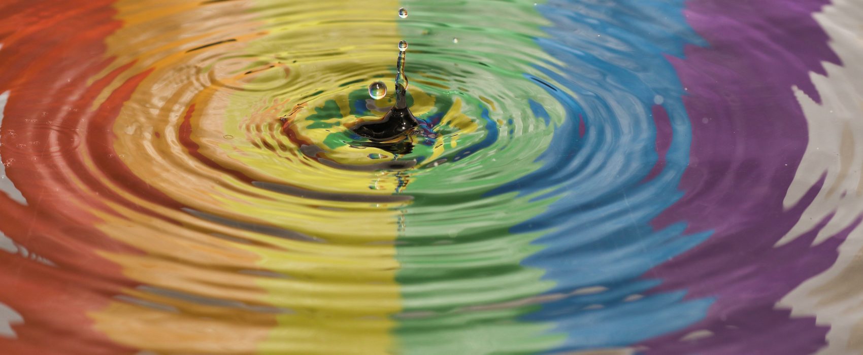 jordan mcdonald 766295 unsplash 1700x700 - Una aproximación a la ideología de género