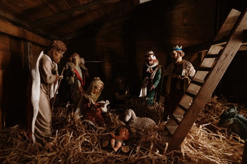 establo con paja y animales 800x533 - "Acercarse a Belén", relatos para rezar en Navidad