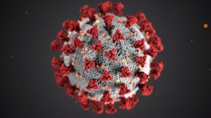 coronavirus virus 300x169 - coronavirus, virus