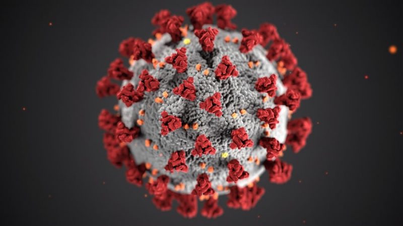 coronavirus virus 800x450 - 6 cosas que puedes hacer frente al Coronavirus